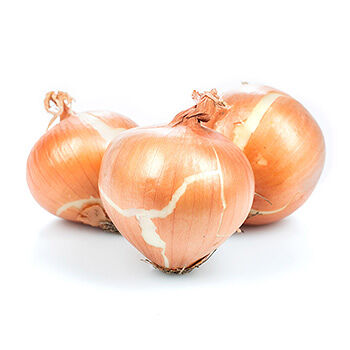 Лук репчатый 1.5 кг, Россия