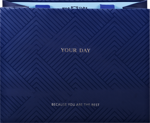 

Пакет подарочный MESHU Indigo Hills, матовый, выборочный лак, отделка фольгой, 23х18х10см, Арт. MS_45804