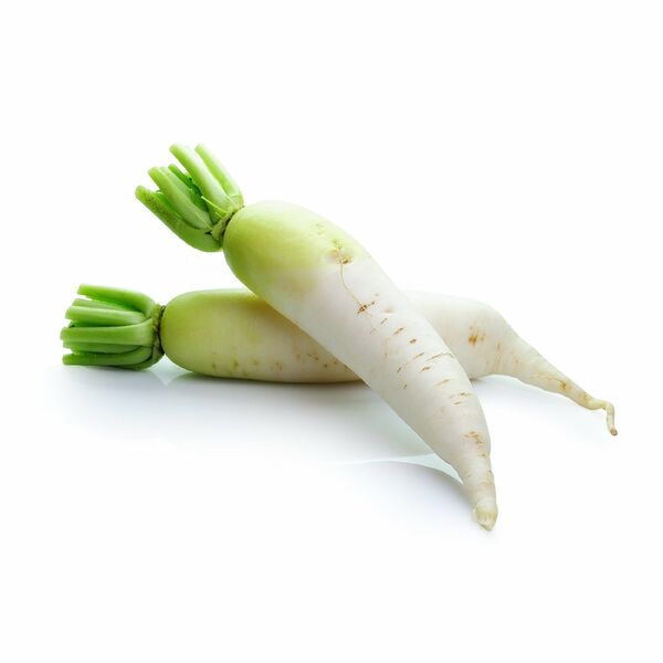 Корень Дайкона