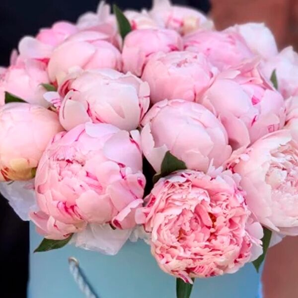 Пионы в шляпной коробке