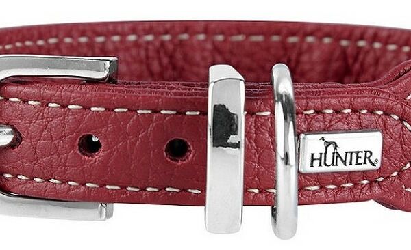 Ошейник для собак кожаный Hunter Cannes Mini 23 - 28 см., Бордовый