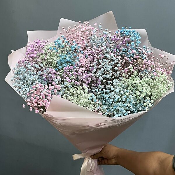 Радужный гипсофила