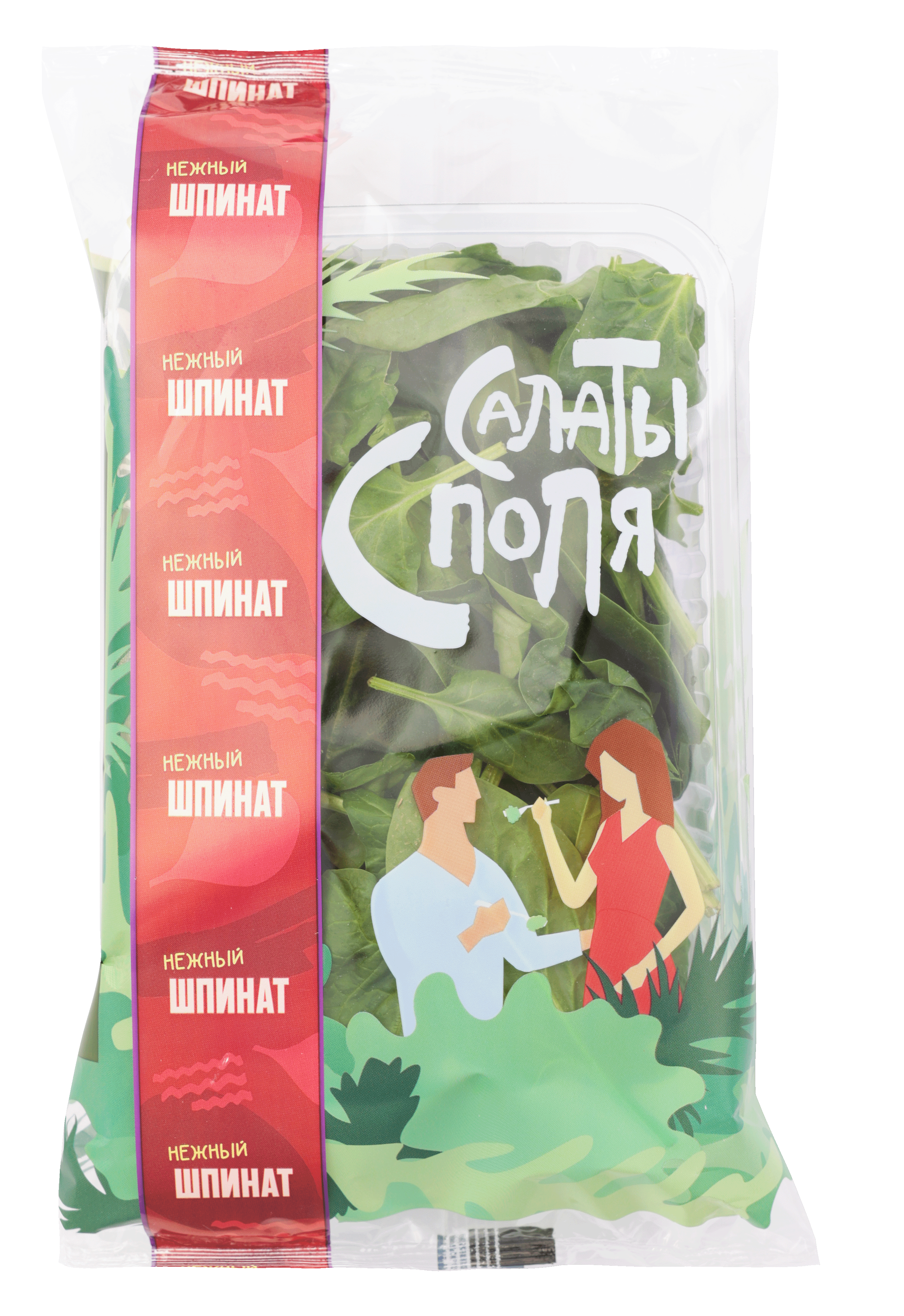 

Шпинат
