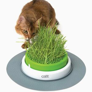 Catit Сад с травкой для кошек