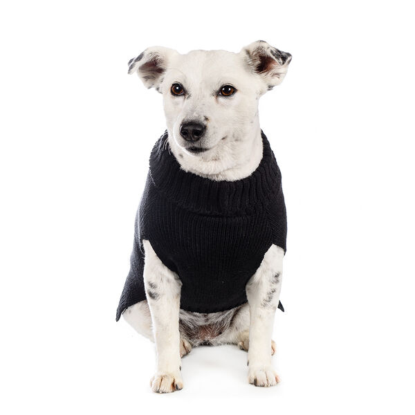 Свитер для собак 45см XL черный (унисекс)