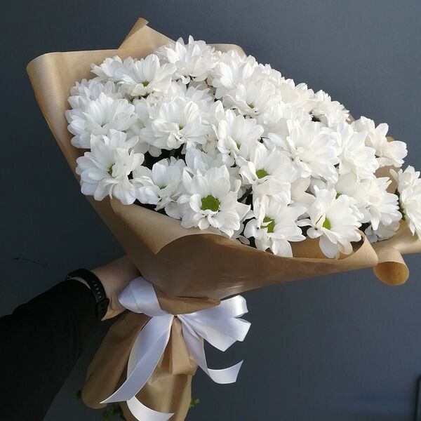 Ромашковое поле