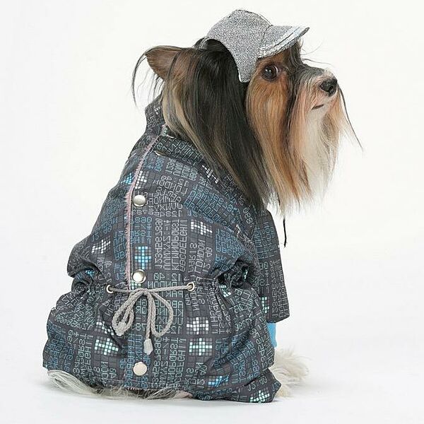 Комбинезон для собак Авиатор S (мальчик)