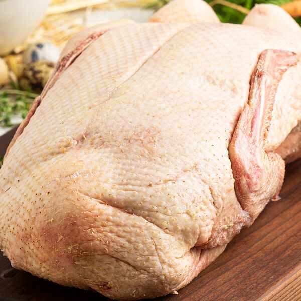 Индейка тушка