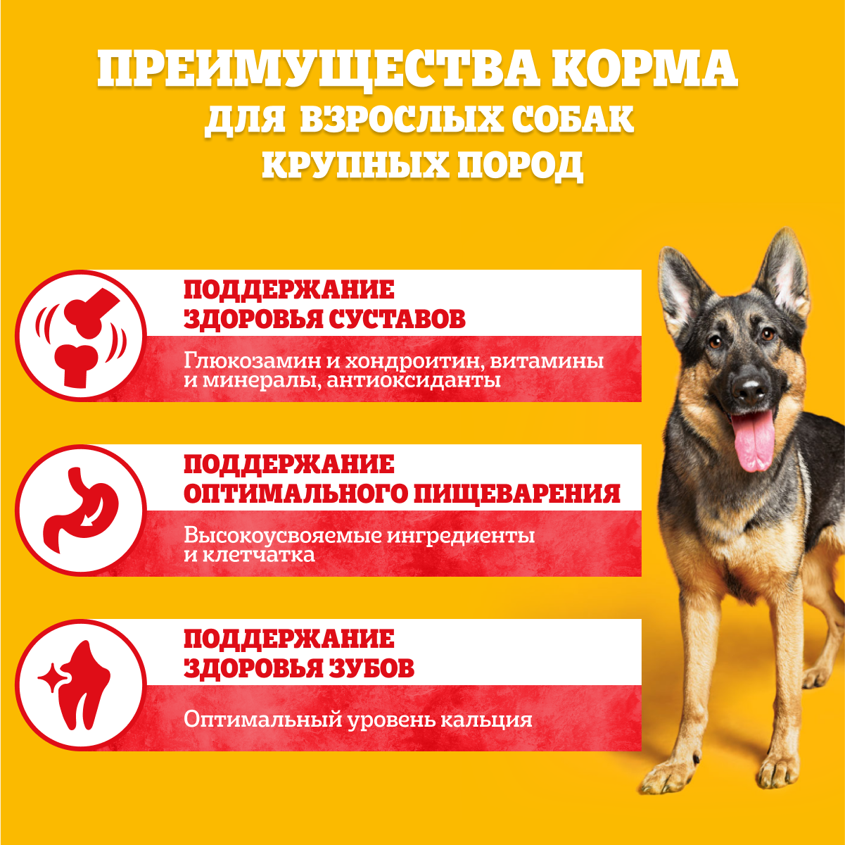 

Сухой корм PEDIGREE® для собак крупных пород больше 25кг, с говядиной, 13 кг
