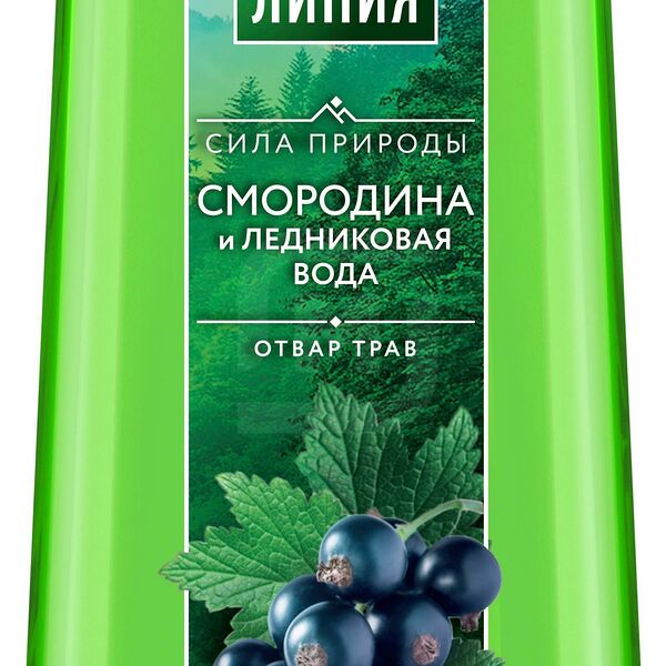 Гель для душа Чистая Линия Мята и сок алоэ