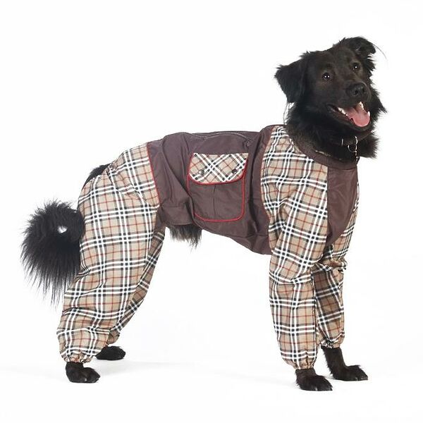 Комбинезон для собак Тузик Бернский Зенненхунд, размер M, в ассортименте