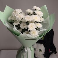 Изображение 5