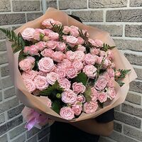 Изображение 3