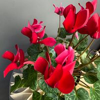 Изображение 7