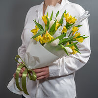 Изображение 12