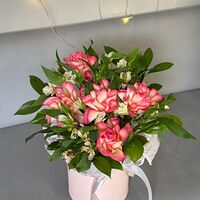 Изображение 2