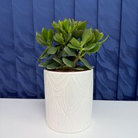 Изображение 6