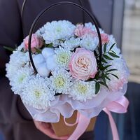 Изображение 3