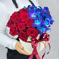 Изображение 3