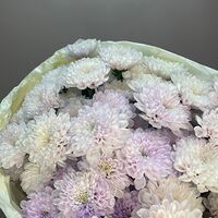 Изображение 8