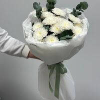 Изображение 3