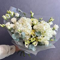 Изображение 3