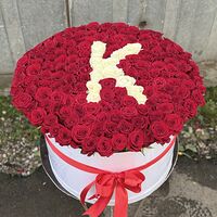 Изображение 2
