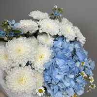 Изображение 3