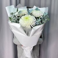 Изображение 8