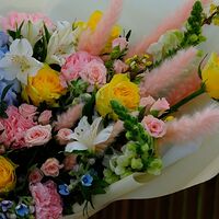 Изображение 5