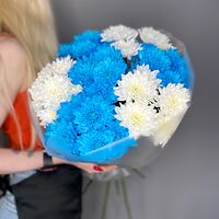 Изображение 2