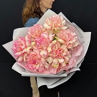 Изображение 2
