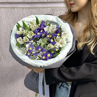 Изображение 2