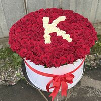 Изображение 3