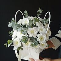 Изображение 4