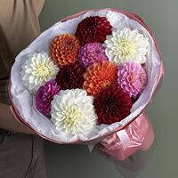 Изображение 4