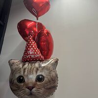 Изображение 5