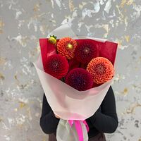 Изображение 3
