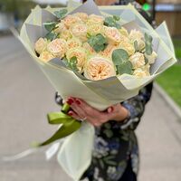 Изображение 10