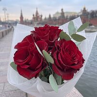 Изображение 7
