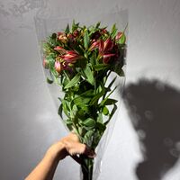 Изображение 2