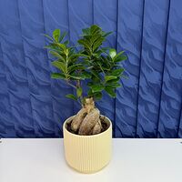 Изображение 5