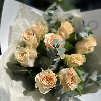 Изображение 9