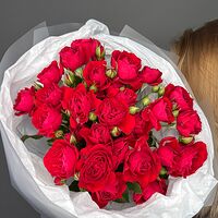 Изображение 8