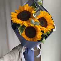 Изображение 5