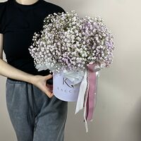 Изображение 3