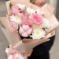 Изображение 3