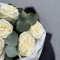 Изображение 3