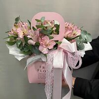 Изображение 12