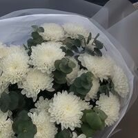 Изображение 7